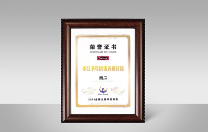 2021年度金牌主播