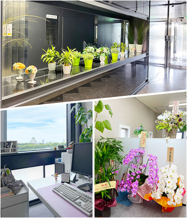 火星电竞·(中国区)有限公司官网