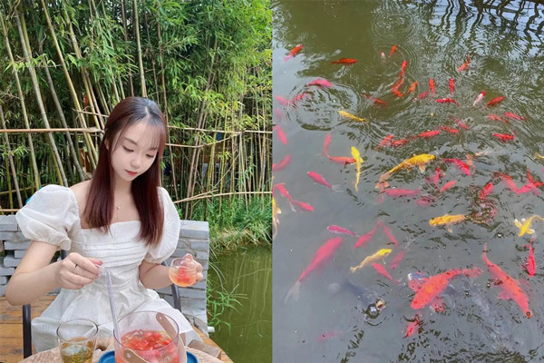 火星电竞·(中国区)有限公司官网